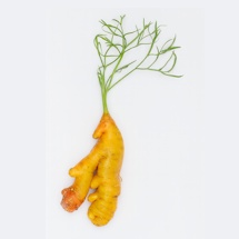 Leola Root